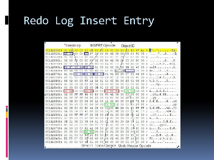 Redo Log Insert Entry 