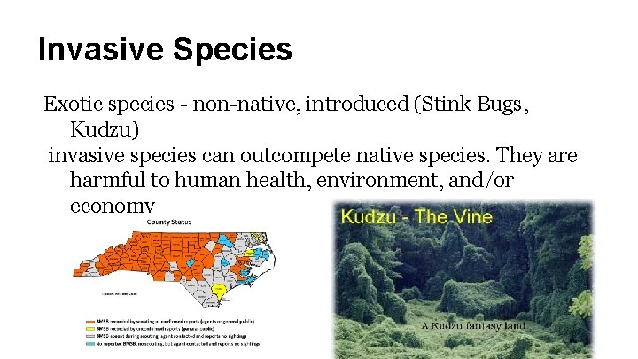 Invasive Species Exotic species - non-native, introduced (Stink Bugs, Kudzu) invasive species can outcompete