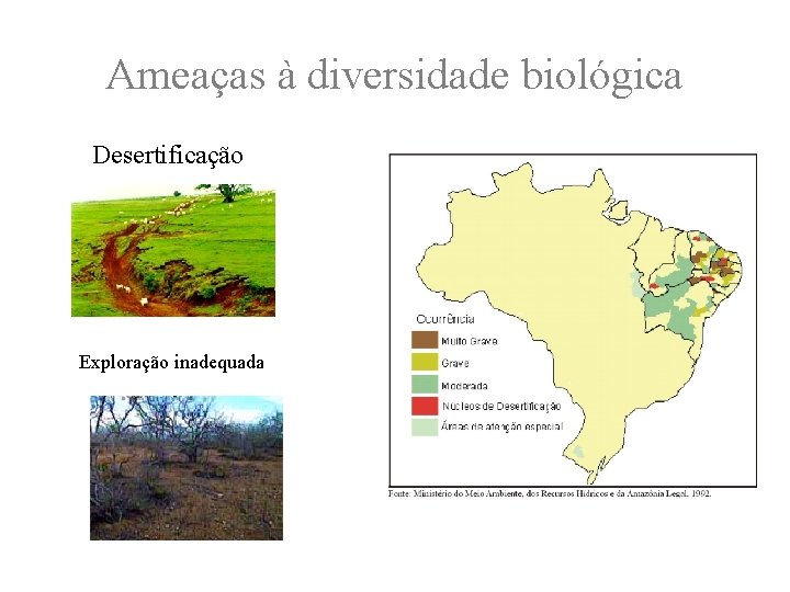 Ameaças à diversidade biológica Desertificação Exploração inadequada 