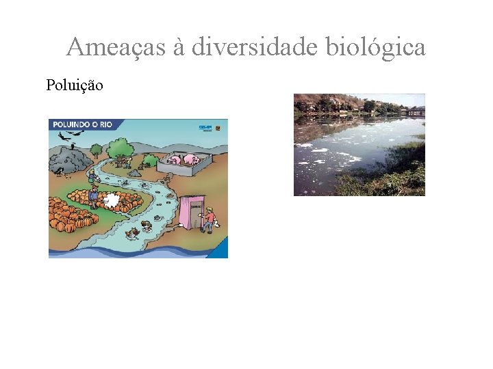 Ameaças à diversidade biológica Poluição 