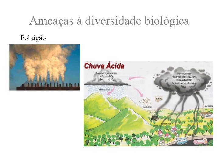 Ameaças à diversidade biológica Poluição 