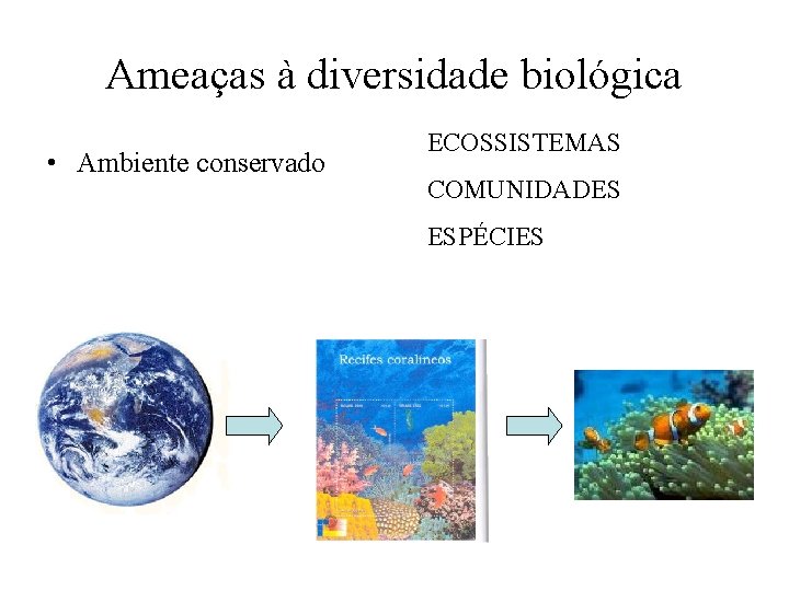 Ameaças à diversidade biológica • Ambiente conservado ECOSSISTEMAS COMUNIDADES ESPÉCIES 