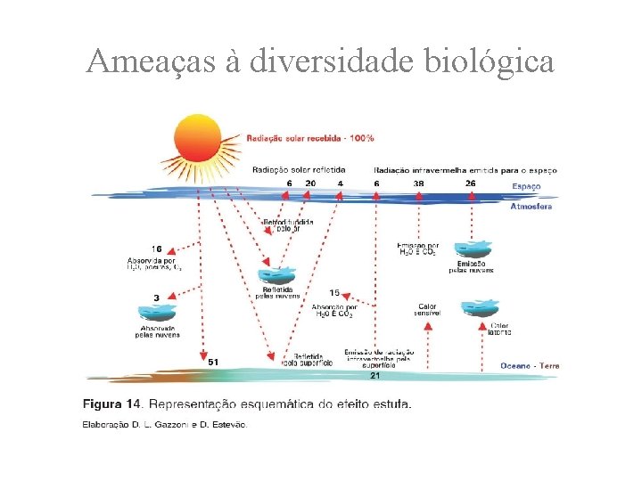 Ameaças à diversidade biológica 