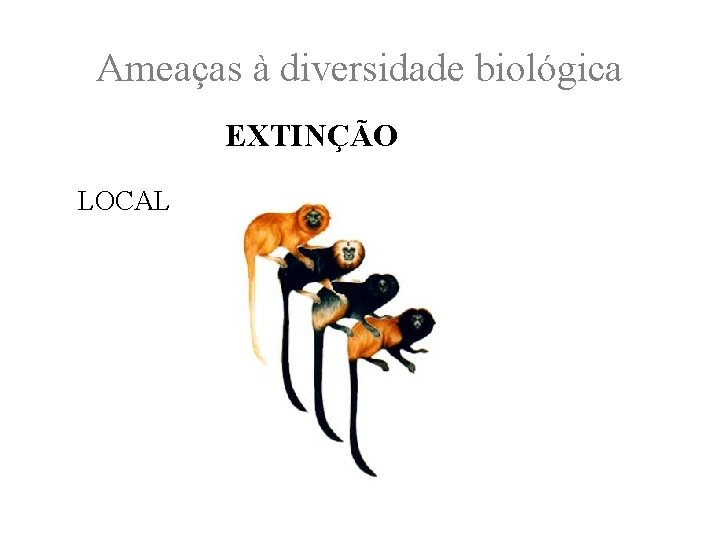 Ameaças à diversidade biológica EXTINÇÃO LOCAL 