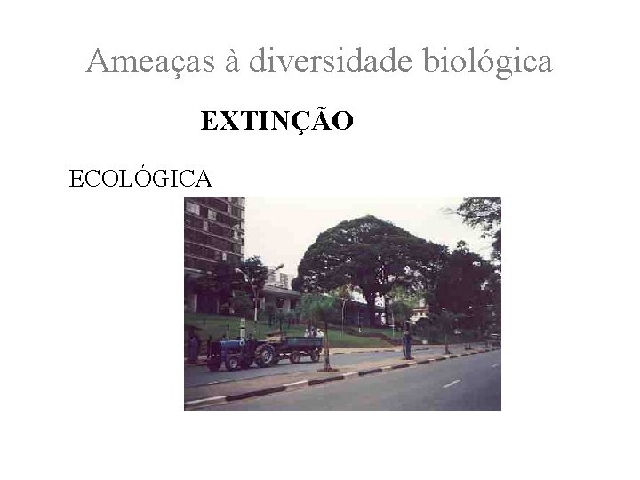 Ameaças à diversidade biológica EXTINÇÃO ECOLÓGICA 