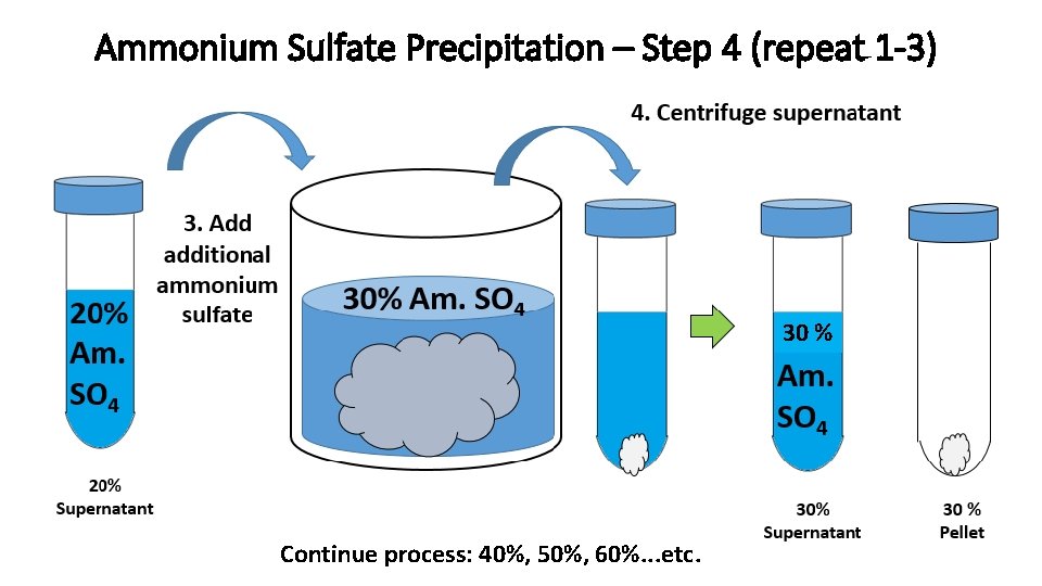 Ammonium Sulfate Precipitation – Step 4 (repeat 1 -3) 30 % Continue process: 40%,