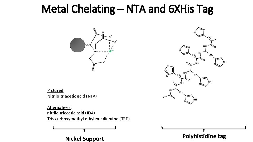 Metal Chelating – NTA and 6 XHis Tag Pictured: Nitrilo triacetic acid (NTA) Alternatives: