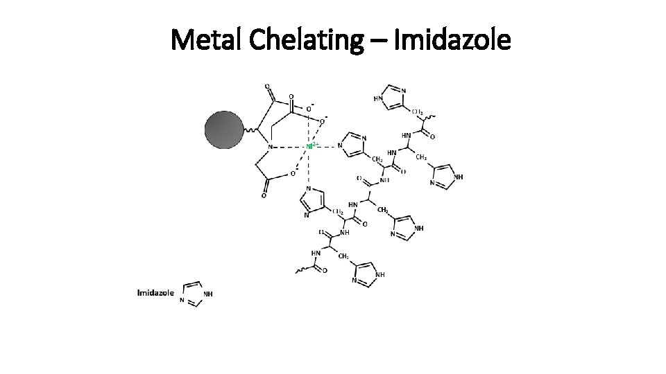Metal Chelating – Imidazole 