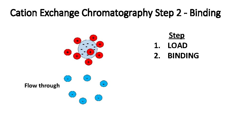 Cation Exchange Chromatography Step 2 - Binding Step 1. LOAD 2. BINDING 