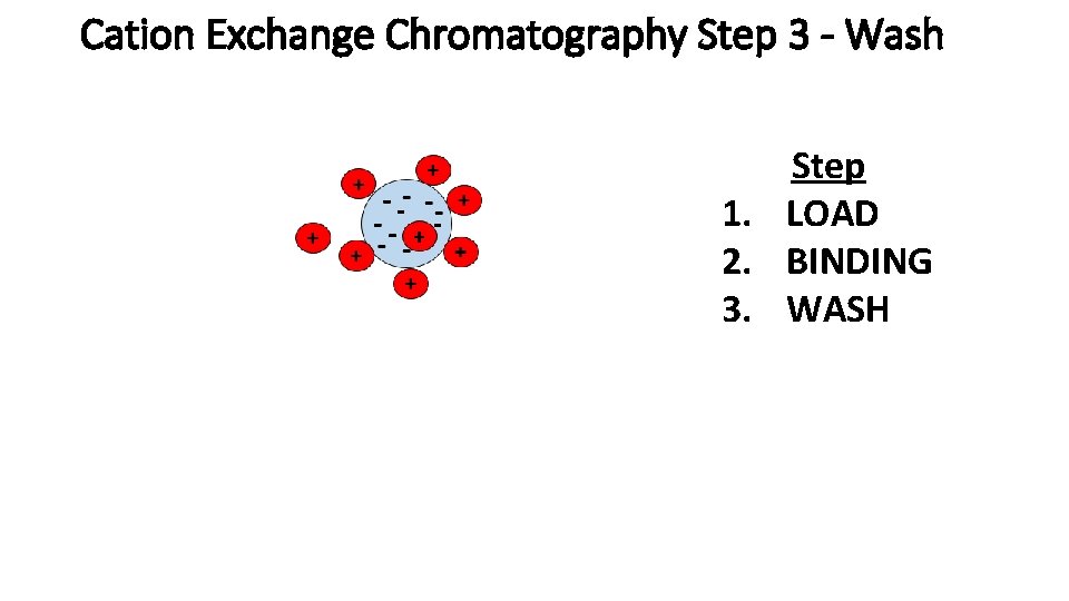 Cation Exchange Chromatography Step 3 - Wash Step 1. LOAD 2. BINDING 3. WASH