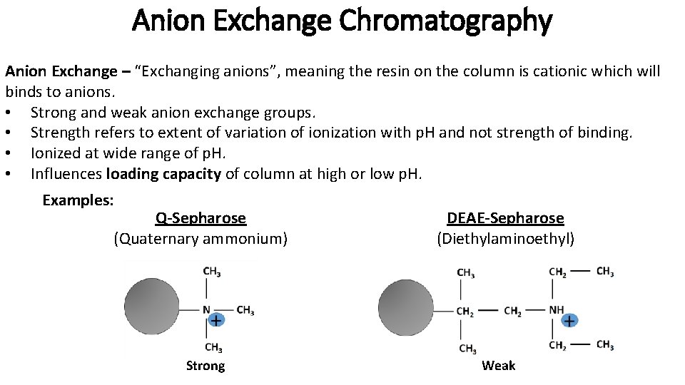 Anion Exchange Chromatography Anion Exchange – “Exchanging anions”, meaning the resin on the column