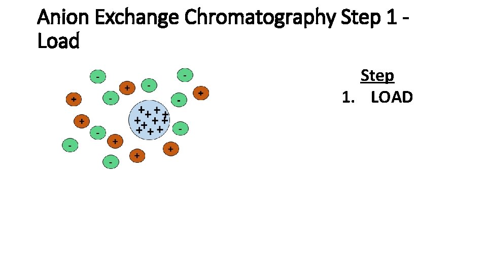 Anion Exchange Chromatography Step 1 Load Step 1. LOAD 