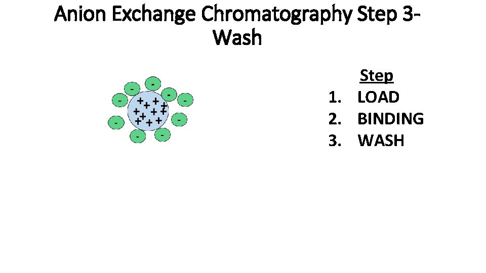 Anion Exchange Chromatography Step 3 Wash Step 1. LOAD 2. BINDING 3. WASH 