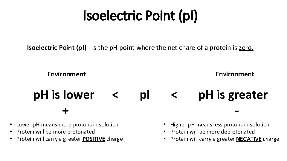 Isoelectric Point (p. I) - is the p. H point where the net chare