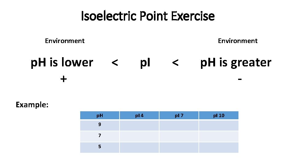 Isoelectric Point Exercise Environment p. H is lower + < p. I < p.