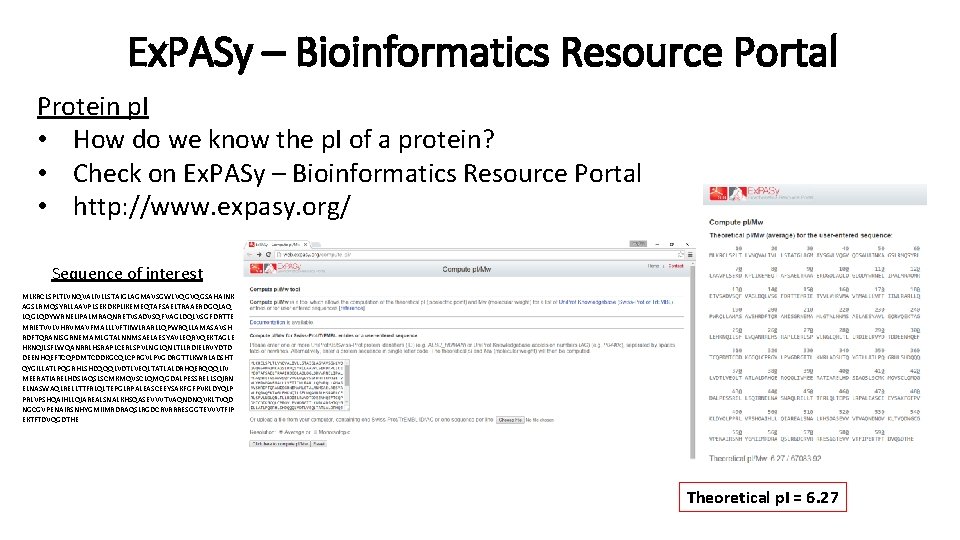 Ex. PASy – Bioinformatics Resource Portal Protein p. I • How do we know