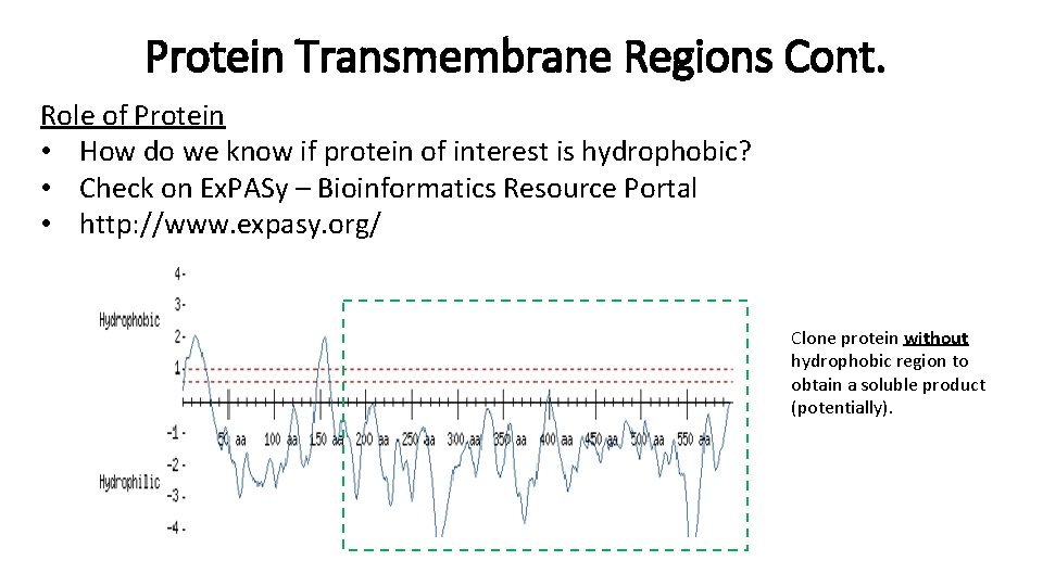 Protein Transmembrane Regions Cont. Role of Protein • How do we know if protein