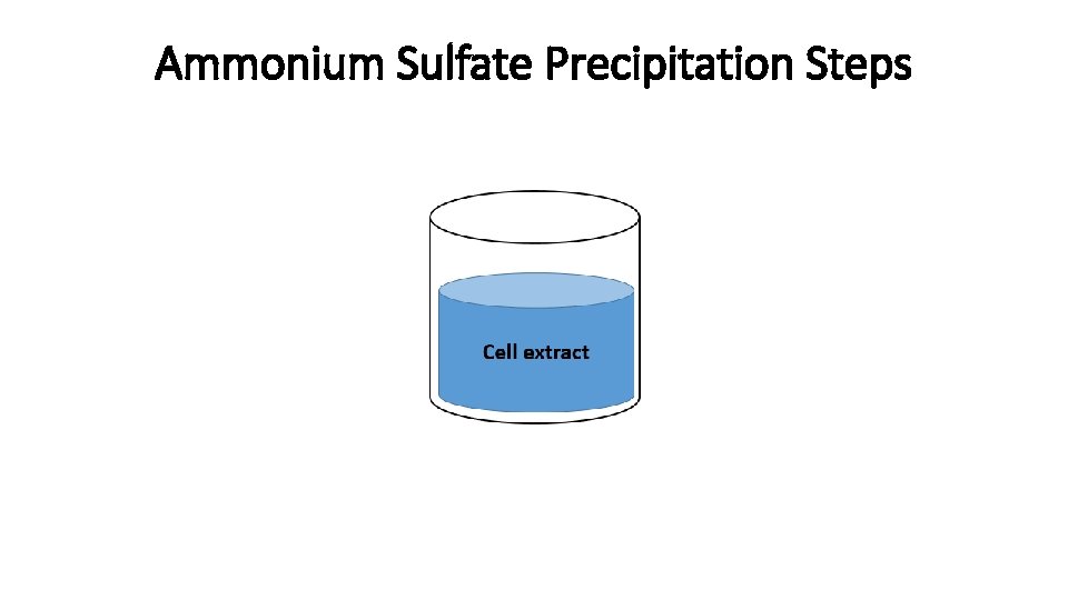 Ammonium Sulfate Precipitation Steps 