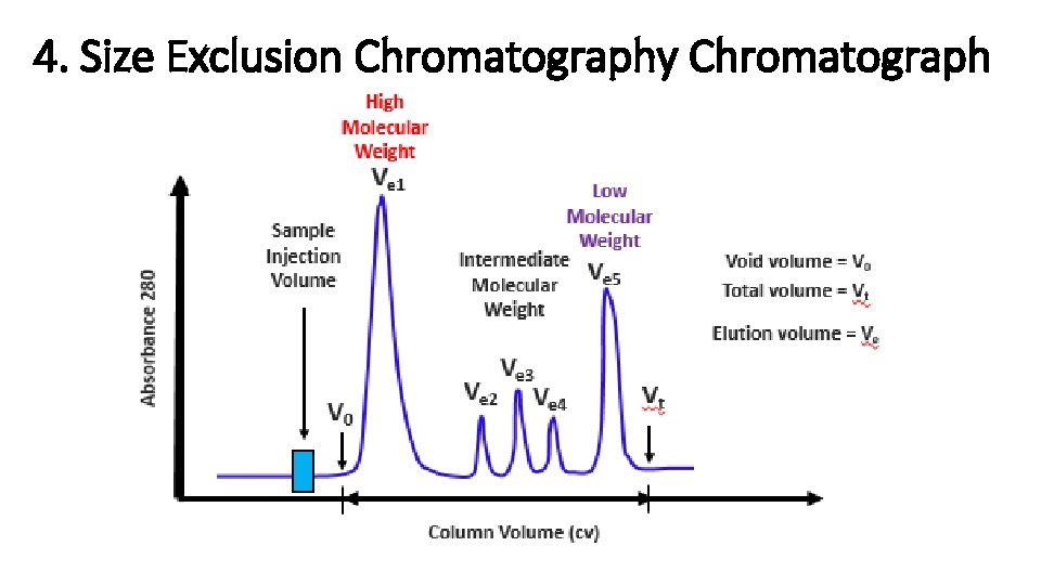 4. Size Exclusion Chromatography Chromatograph 