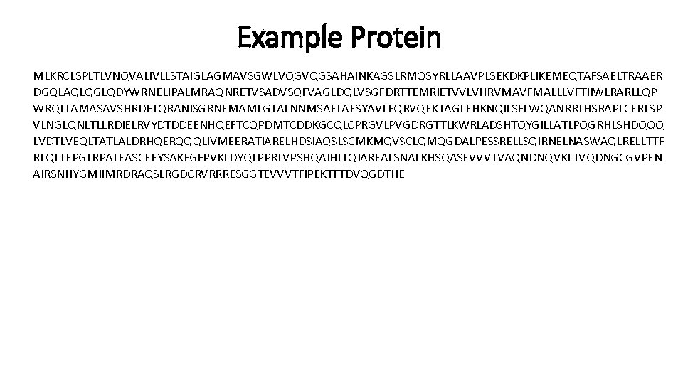 Example Protein MLKRCLSPLTLVNQVALIVLLSTAIGLAGMAVSGWLVQGVQGSAHAINKAGSLRMQSYRLLAAVPLSEKDKPLIKEMEQTAFSAELTRAAER DGQLAQLQGLQDYWRNELIPALMRAQNRETVSADVSQFVAGLDQLVSGFDRTTEMRIETVVLVHRVMAVFMALLLVFTIIWLRARLLQP WRQLLAMASAVSHRDFTQRANISGRNEMAMLGTALNNMSAELAESYAVLEQRVQEKTAGLEHKNQILSFLWQANRRLHSRAPLCERLSP VLNGLQNLTLLRDIELRVYDTDDEENHQEFTCQPDMTCDDKGCQLCPRGVLPVGDRGTTLKWRLADSHTQYGILLATLPQGRHLSHDQQQ LVDTLVEQLTATLALDRHQERQQQLIVMEERATIARELHDSIAQSLSCMKMQVSCLQMQGDALPESSRELLSQIRNELNASWAQLRELLTTF RLQLTEPGLRPALEASCEEYSAKFGFPVKLDYQLPPRLVPSHQAIHLLQIAREALSNALKHSQASEVVVTVAQNDNQVKLTVQDNGCGVPEN AIRSNHYGMIIMRDRAQSLRGDCRVRRRESGGTEVVVTFIPEKTFTDVQGDTHE 