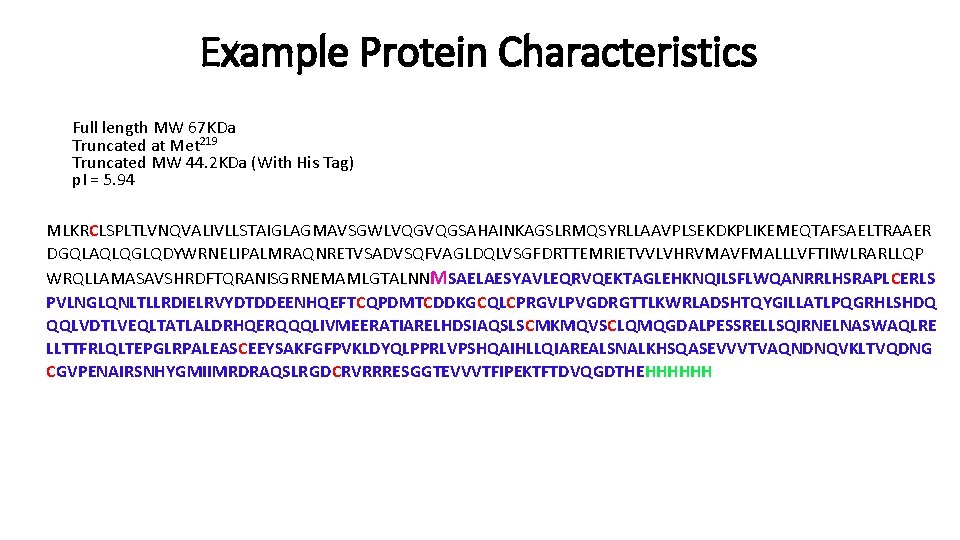 Example Protein Characteristics Full length MW 67 KDa Truncated at Met 219 Truncated MW