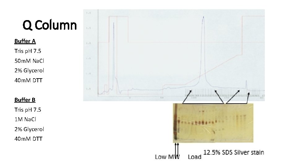 Q Column Buffer A Tris p. H 7. 5 50 m. M Na. Cl