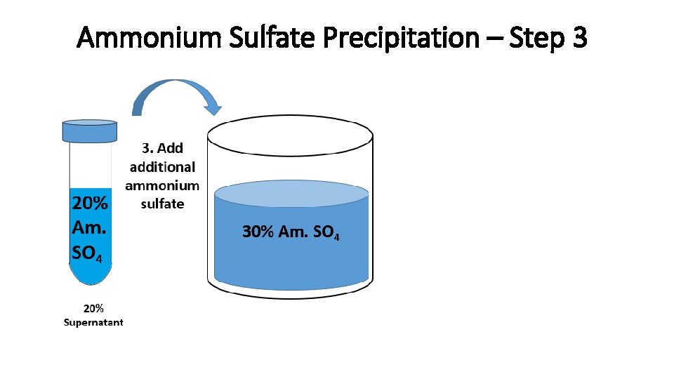 Ammonium Sulfate Precipitation – Step 3 