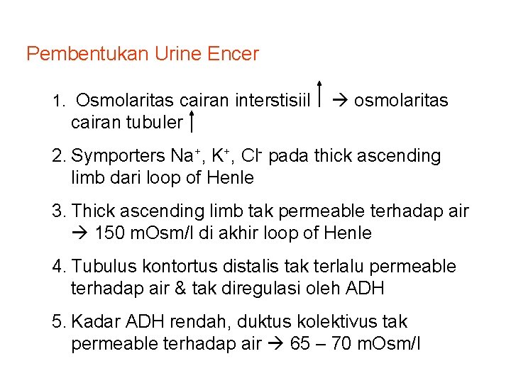 Pembentukan Urine Encer 1. Osmolaritas cairan interstisiil osmolaritas cairan tubuler 2. Symporters Na+, K+,