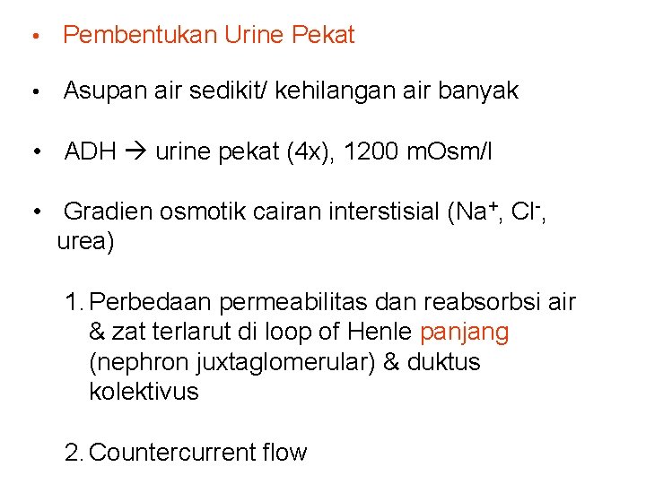  • Pembentukan Urine Pekat • Asupan air sedikit/ kehilangan air banyak • ADH