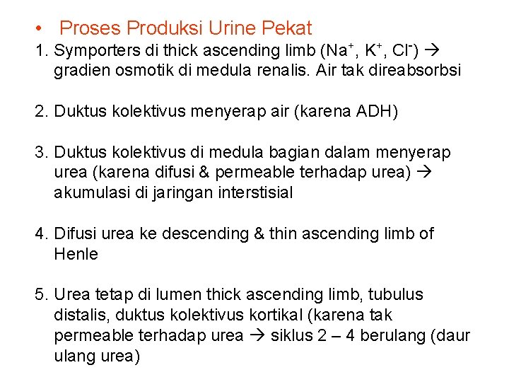  • Proses Produksi Urine Pekat 1. Symporters di thick ascending limb (Na+, K+,