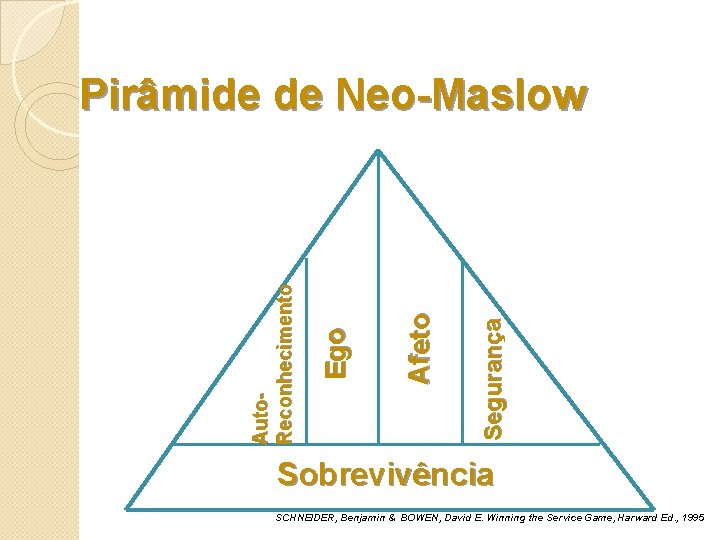Segurança Afeto Ego Auto. Reconhecimento Pirâmide de Neo-Maslow Sobrevivência SCHNEIDER, Benjamin & BOWEN, David