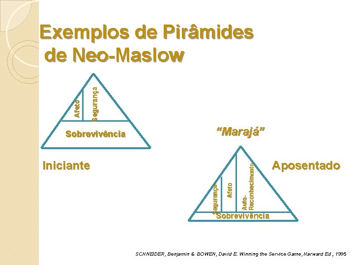 Segurança Sobrevivência “Marajá” Afeto Segurança Iniciante Auto. Reconhecimento Afeto Exemplos de Pirâmides de Neo-Maslow