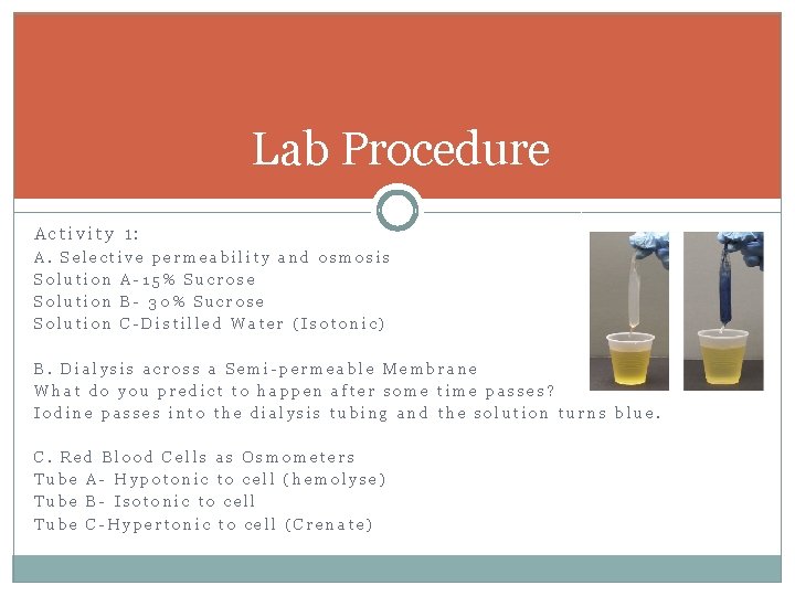 Lab 4 Osmosis and Diffusion OBJECTIVES UNDERSTAND DIFFUSION
