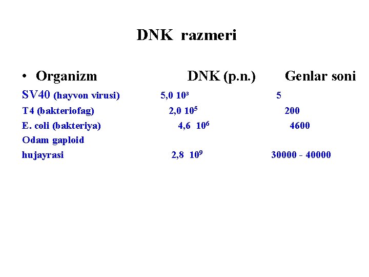 DNK razmeri • Organizm SV 40 (hayvon virusi) Т 4 (bakteriofag) E. сoli (bakteriya)