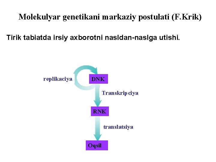 Molekulyar genetikani markaziy postulati (F. Krik) Tirik tabiatda irsiy axborotni nasldan-naslga utishi. replikaciya DNK