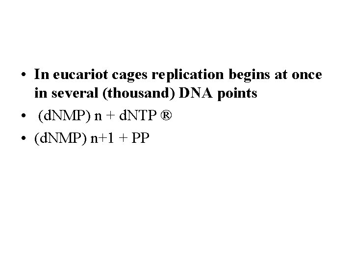  • In eucariot cages replication begins at once in several (thousand) DNA points