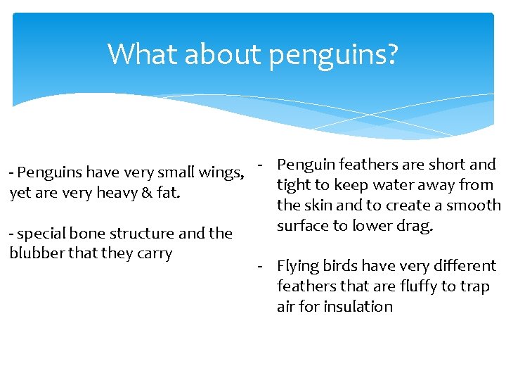 What about penguins? - Penguins have very small wings, - Penguin feathers are short