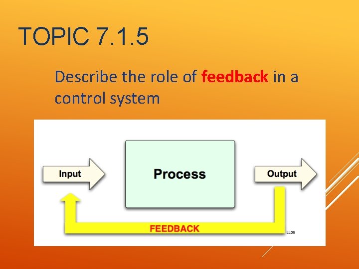 TOPIC 7. 1. 5 Describe the role of feedback in a control system 