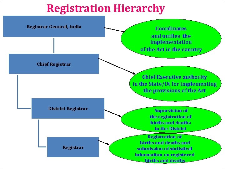 Registration Hierarchy Registrar General, India Coordinates and unifies the implementation of the Act in