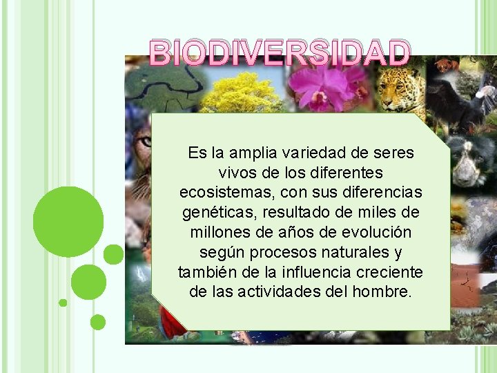 BIODIVERSIDAD Es la amplia variedad de seres vivos de los diferentes ecosistemas, con sus