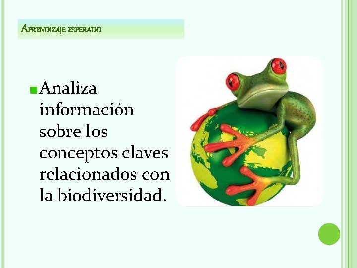 APRENDIZAJE ESPERADO Analiza información sobre los conceptos claves relacionados con la biodiversidad. 