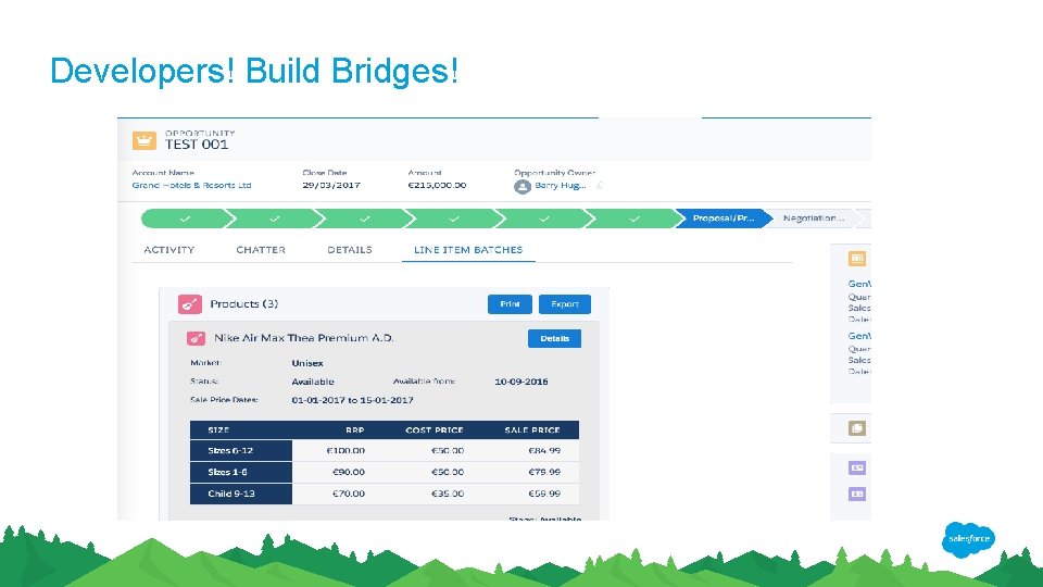 Developers! Build Bridges! 