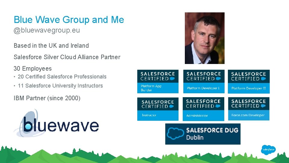 Blue Wave Group and Me @bluewavegroup. eu Based in the UK and Ireland Salesforce
