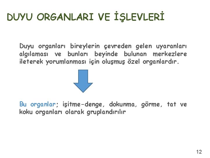 DUYU ORGANLARI VE İŞLEVLERİ Duyu organları bireylerin çevreden gelen uyaranları algılaması ve bunları beyinde