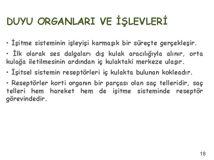 DUYU ORGANLARI VE İŞLEVLERİ • İşitme sisteminin işleyişi karmaşık bir süreçte gerçekleşir. • İlk