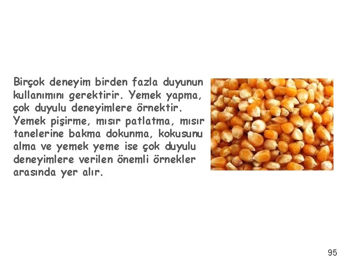 Birçok deneyim birden fazla duyunun kullanımını gerektirir. Yemek yapma, çok duyulu deneyimlere örnektir. Yemek