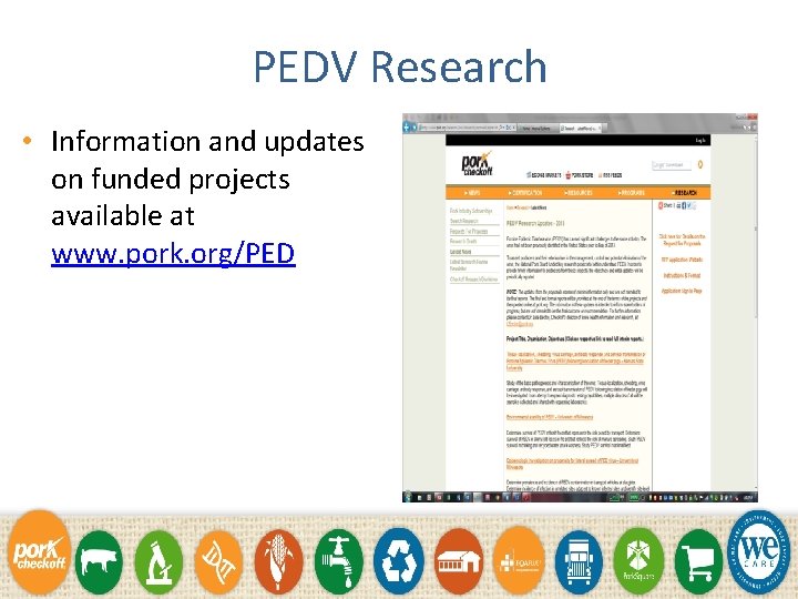 PEDV Research • Information and updates on funded projects available at www. pork. org/PED