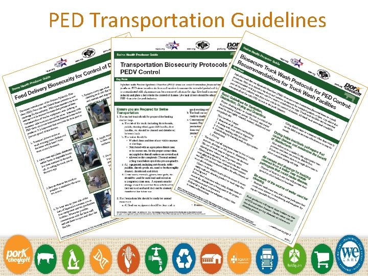 PED Transportation Guidelines 19 