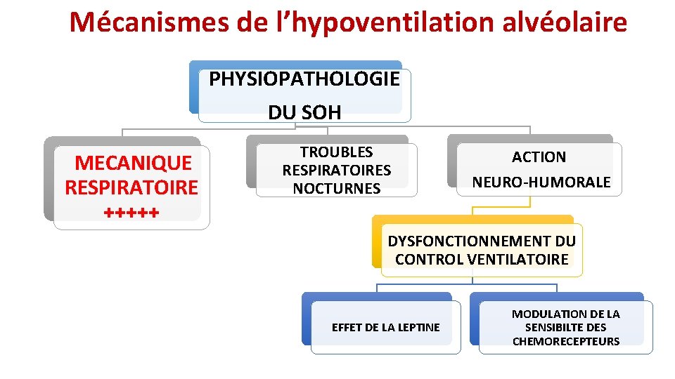 Mécanismes de l’hypoventilation alvéolaire PHYSIOPATHOLOGIE DU SOH MECANIQUE RESPIRATOIRE +++++ TROUBLES RESPIRATOIRES NOCTURNES ACTION