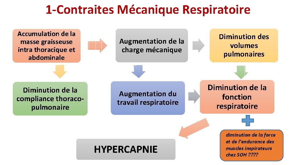 1 -Contraites Mécanique Respiratoire Accumulation de la masse graisseuse intra thoracique et abdominale Diminution